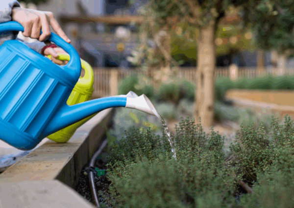 El compromís amb el medi ambient és també un compromís amb la salut, la justícia social i la qualitat de vida de les persones treballadores i de la ciutadania en general. El compromís amb el medi ambient és també un compromís amb la salut, la justícia social i la qualitat de vida de les persones treballadores i de la ciutadania en general.