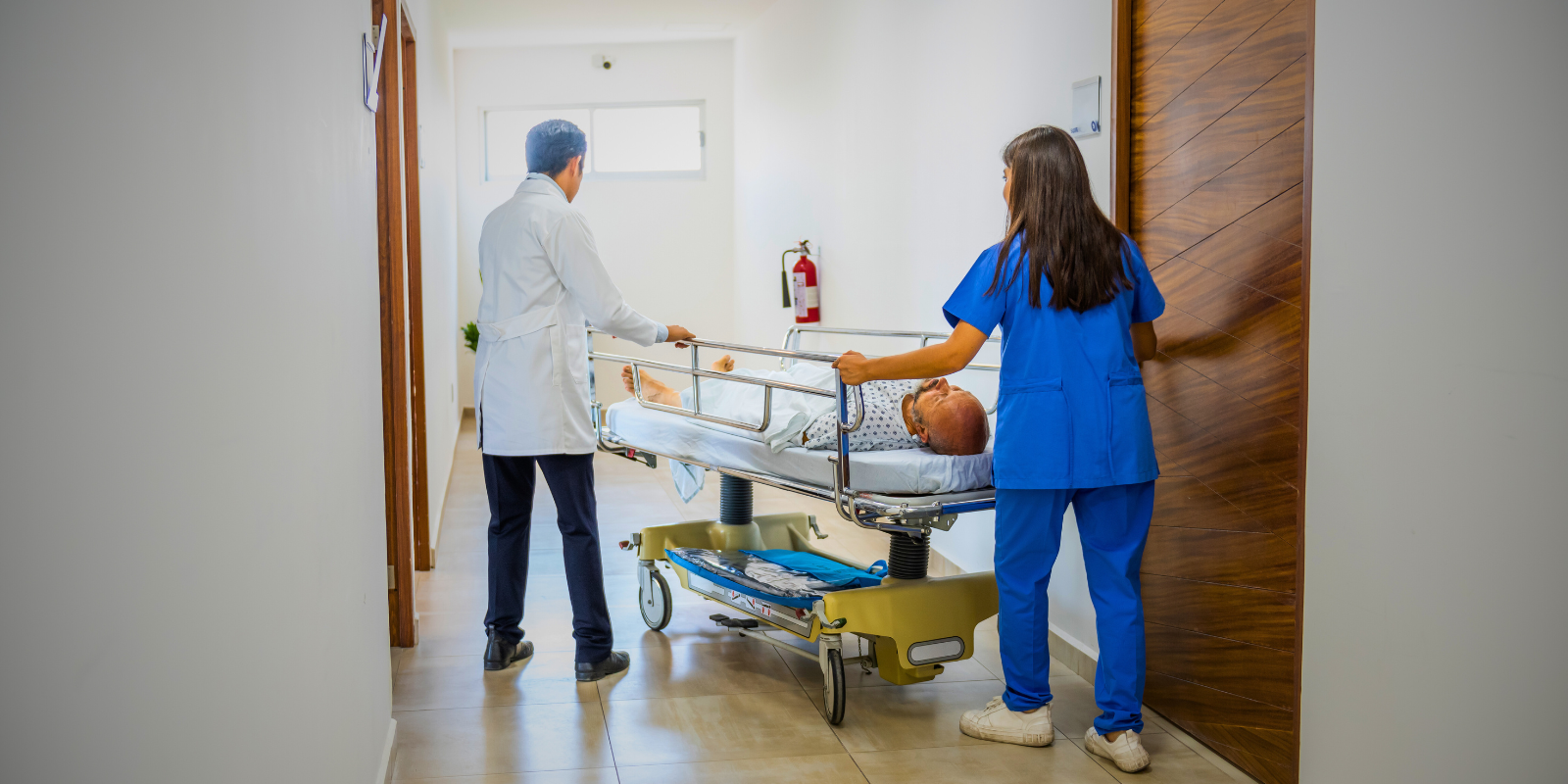 Dia la zeladora, zelador